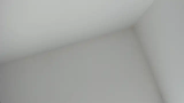 VioletRose as online show from November 16, 8:36 pm