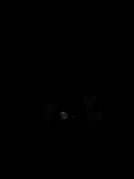 philefc online show from November 3, 7:42 am