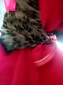 Juhi chawla online show from December 4, 1:59 am