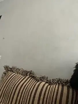 Snapshot of NoddingScorpion chatting on November 10, 8:35 am NoddingScorpion online show from November 10, 8:35 am