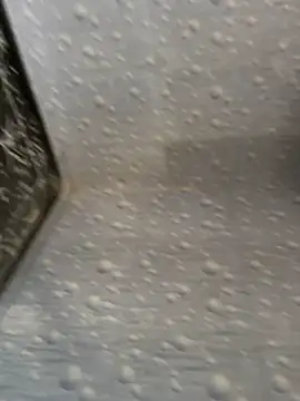 Snapshot of NoddingScorpion chatting on November 25, 8:58 am NoddingScorpion online show from November 25, 8:58 am