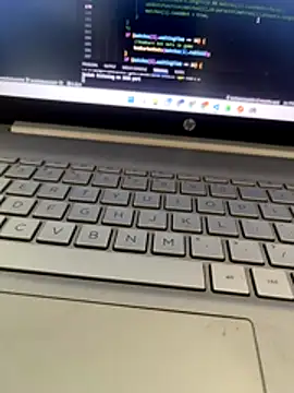 Snapshot of NoddingScorpion chatting on November 29, 10:07 am NoddingScorpion online show from November 29, 10:07 am