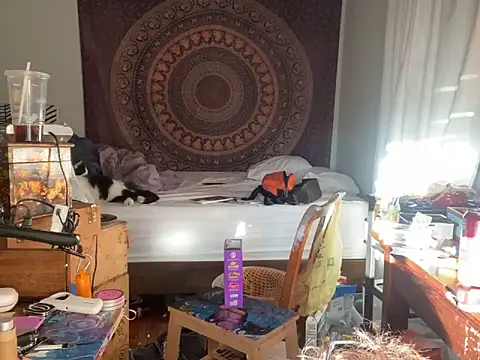 XanderOzzz online show from November 6, 9:48 pm