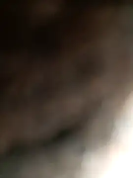 Hat-Raja77 online show from November 4, 4:33 am