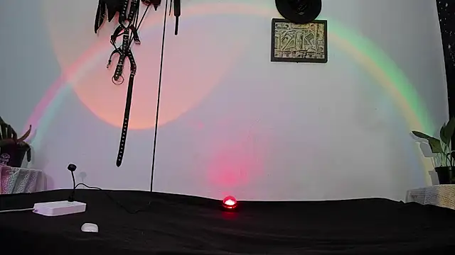 dex 55 online show from May 12, 10:29 pm