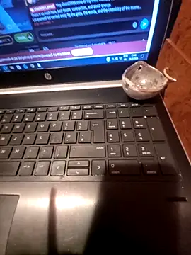 Snapshot of Lawrence067 chatting on March 24, 7:41 pm Lawrence067 online show from March 24, 7:41 pm