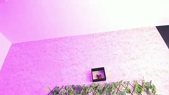 Snapshot of ImEmily444 chatting on October 4, 7:50 am ImEmily444 online show from October 4, 7:50 am