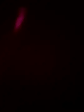 Snapshot of Size_x@xh chatting on January 16, 5:50 pm Size xxh online show from January 16, 5:50 pm