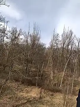 Snapshot of kot766 chatting on March 25, 12:22 pm kot766 online show from March 25, 12:22 pm