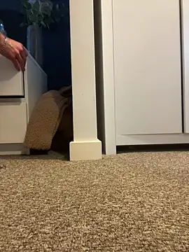 anonymousplease online show from November 15, 10:45 am