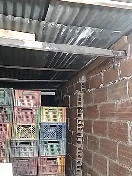 hoteder online show from February 5, 10:09 am