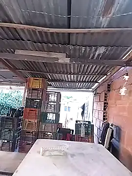 hoteder online show from February 11, 12:10 pm