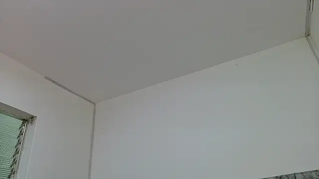 Lizbeth Rouse online show from October 5, 12:25 pm