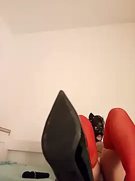 KittenCarnivore online show from November 22, 8:30 pm