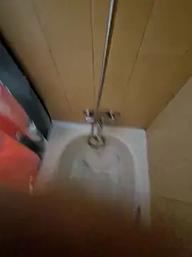 Snapshot of tonipit chatting on December 14, 8:24 pm tonipit online show from December 14, 8:24 pm