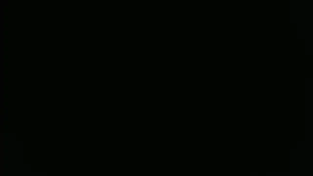 ParisAndVi online show from November 11, 3:45 pm