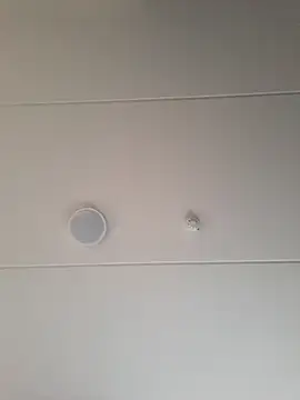 geilerd122 online show from October 19, 3:56 pm