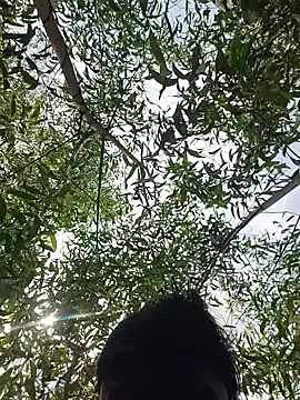 Snapshot of 96Rohon chatting on March 21, 6:18 am 96Rohon online show from March 21, 6:18 am