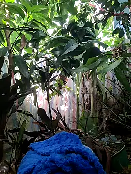 Snapshot of Kiki-vivi chatting on September 16, 1:17 am Kiki-vivi online show from September 16, 1:17 am