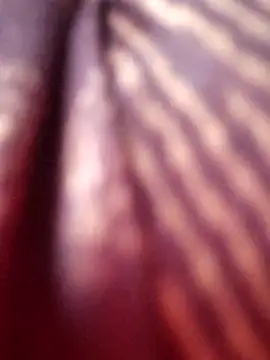 Snapshot of Tamilreethu chatting on October 5, 8:45 am Tamilreethu online show from October 5, 8:45 am