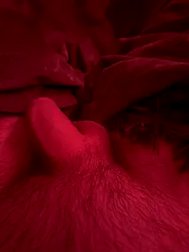 couplefuck   online show from December 16, 7:57 am