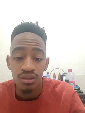 Snapshot of gemini_loops chatting on October 17, 5:59 pm gemini loops online show from October 17, 5:59 pm