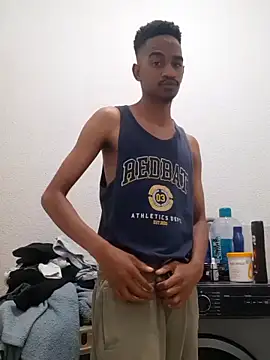 Snapshot of gemini_loops chatting on November 2, 5:04 pm gemini loops online show from November 2, 5:04 pm