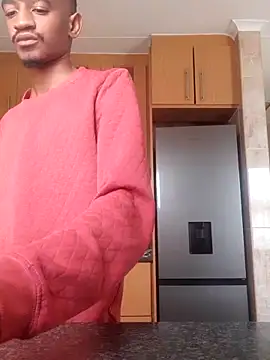 Snapshot of gemini_loops chatting on February 17, 8:11 am gemini loops online show from February 17, 8:11 am