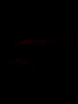 Marco0sss online show from February 8, 9:02 am