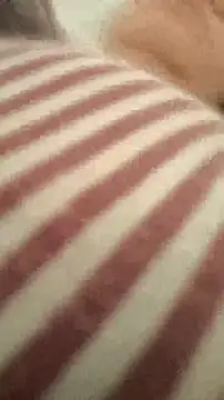 bibi perigoBr online show from September 29, 3:39 pm