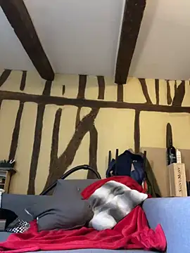 Toto-pika online show from March 26, 8:53 am