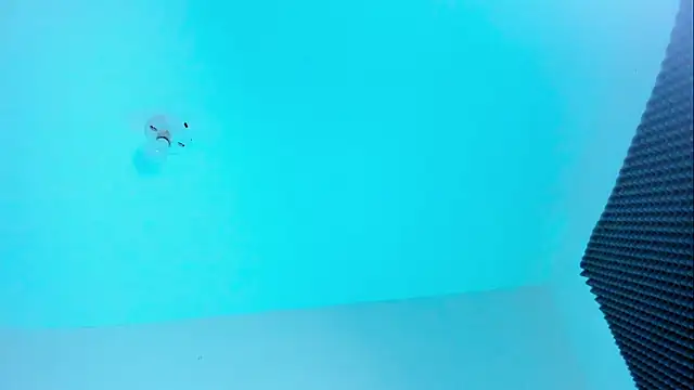 Ellope  online show from October 22, 11:04 pm