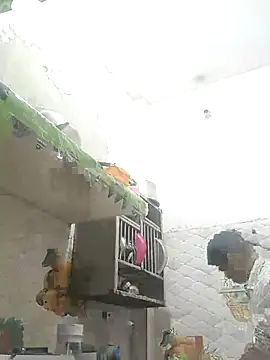 NoxiousFilename online show from October 12, 2:27 pm