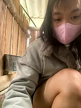 Snapshot of PhanHaa chatting on January 16, 2:04 am PhanHaa online show from January 16, 2:04 am