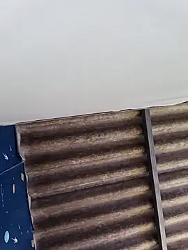 WholeAltimeter25 online show from February 10, 5:44 am