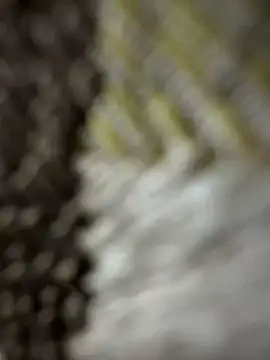 monster20cm online show from March 15, 3:23 am