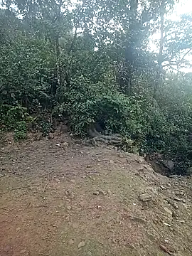 Snapshot of quynhkoolbae chatting on February 21, 12:44 am quynhkoolbae online show from February 21, 12:44 am