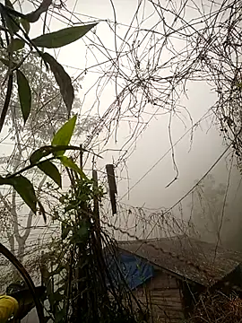 Snapshot of quynhkoolbae chatting on February 28, 12:44 am quynhkoolbae online show from February 28, 12:44 am