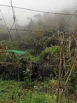 Snapshot of quynhkoolbae chatting on March 11, 3:12 am quynhkoolbae online show from March 11, 3:12 am