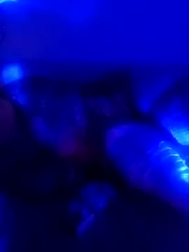 Snapshot of senacansu chatting on October 26, 2:50 am senacansu online show from October 26, 2:50 am