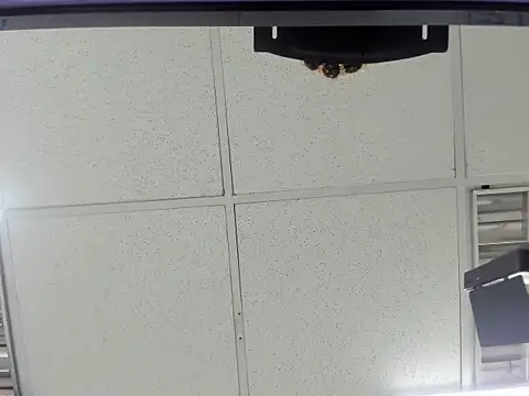 Aisha hotts777 online show from March 20, 2:49 am