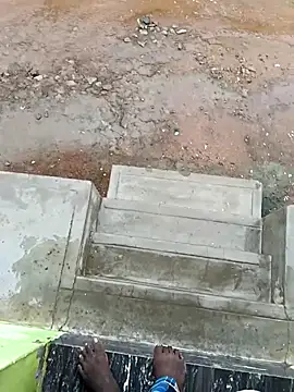 dolphiinn online show from October 16, 2:34 am