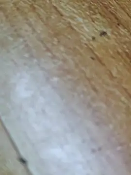 Markroco696 online show from October 12, 2:32 am