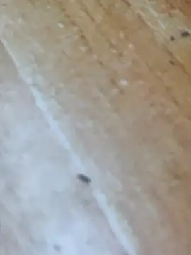 Markroco696 online show from October 16, 4:24 am