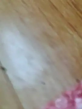 Markroco696 online show from October 18, 2:58 am