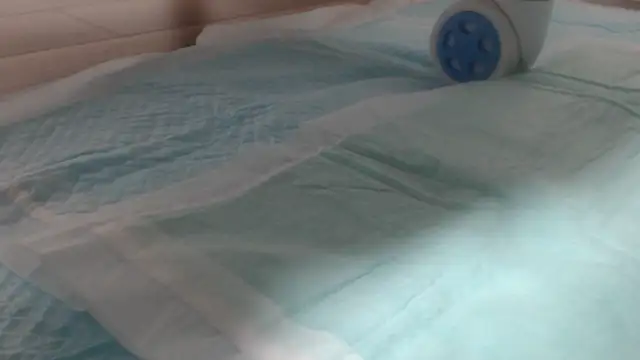 asuka xoxo online show from October 19, 8:31 pm