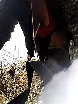 venu00 online show from March 25, 5:24 am