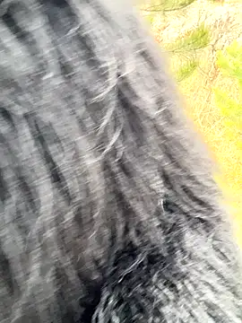 desiredude9 online show from November 1, 7:10 am