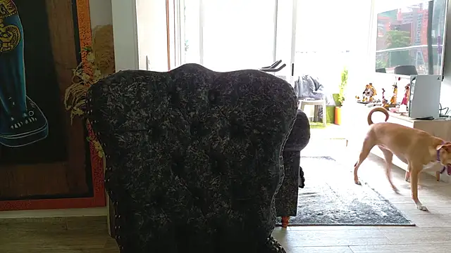 Sarahlove 90 online show from October 26, 6:03 pm