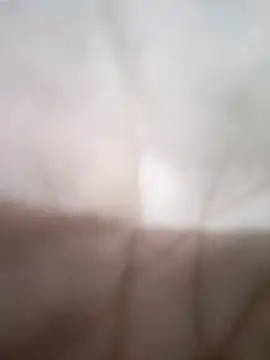 KitedSeizure online show from January 17, 6:18 am